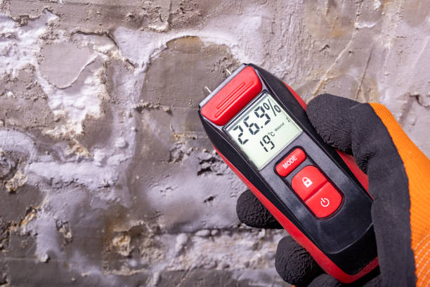 Best Mold Cleaning Services  in Perryville, AR